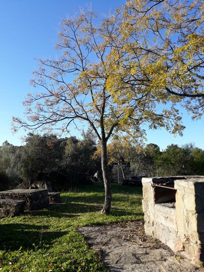 Albergue Alagon Natura Valdeobispo Εξωτερικό φωτογραφία